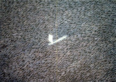 Roeier
