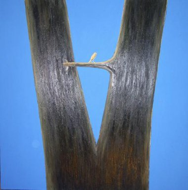 ZT