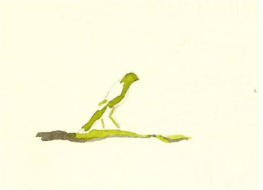 Vogeltje