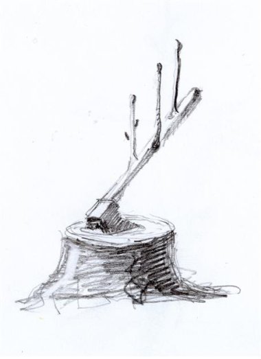 Groeibijl