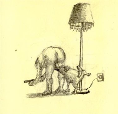 De ballenlikker