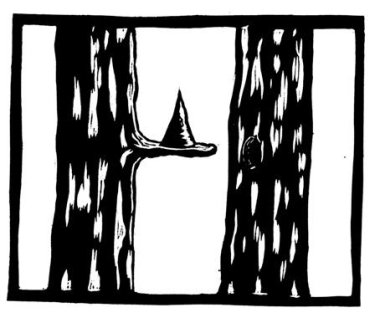 Kamasutra van het woud 34