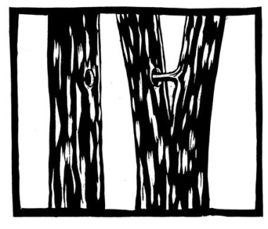 Kamasutra van het woud 37