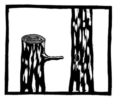 Mysterie Forestier 11