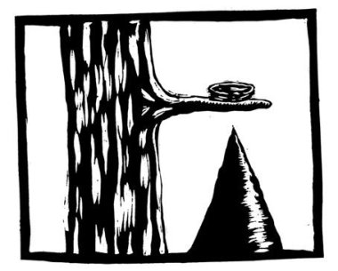 Mysterie Forestier 45