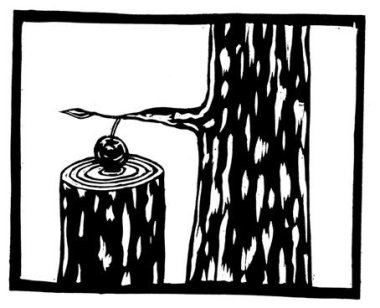 Mysterie Forestier 46