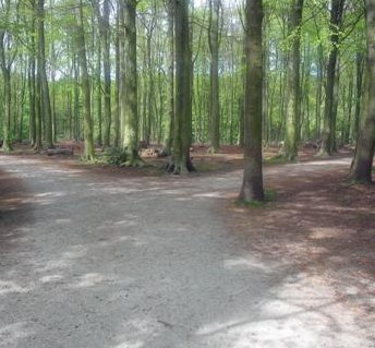 Fotografie